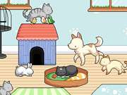 Pet Daycare