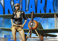SkyLark SkyLark