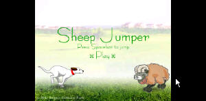 Jumper Sheep