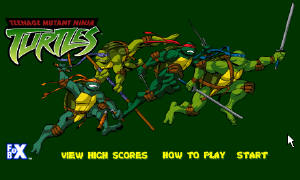 Ninja Turtles Ninja Turtles