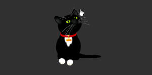 El Gato El Gato
