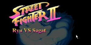 Super Street Fighte