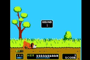 Duck Hunt